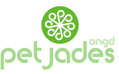 Cuatro nuevos proyectos aprobados en 2025 que iniciarán su ejecución en 2026