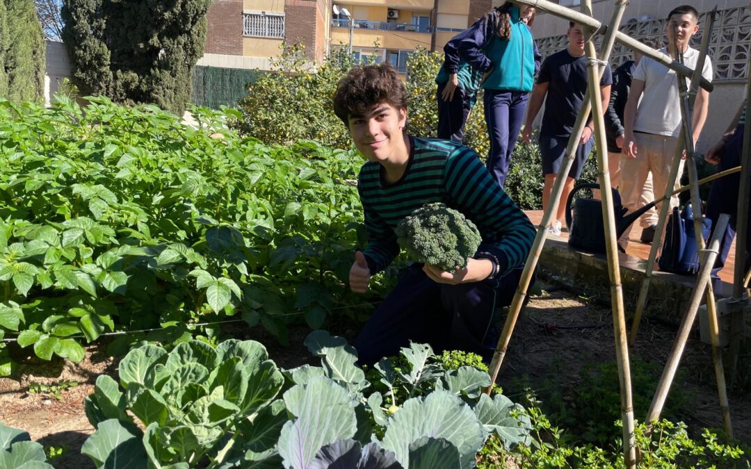 HUERTO ESCOLAR ECOLÓGICO
