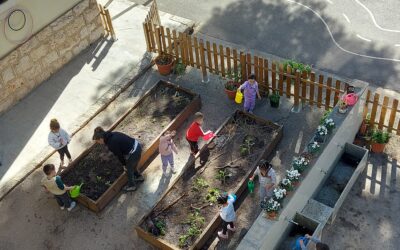Aprendizaje y valores en el Huerto Escolar Ecológico del Colegio Miguel de Cervantes