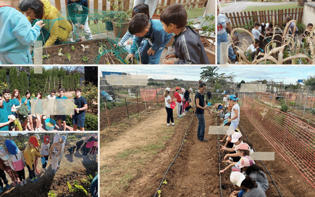 PROMOVIENDO PROCESOS EDUCATIVOS PARA INCIDIR EN LOS ODS 5 Y 12 EN 3 CENTROS EDUCATIVOS DE LA PROVINCIA DE VALENCIA