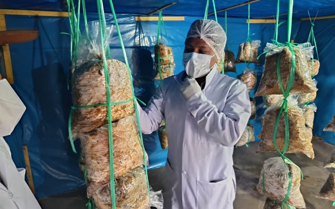 Viaje de seguimiento a Perú para fortalecer el derecho a una vivienda digna y el acceso a saneamiento básico